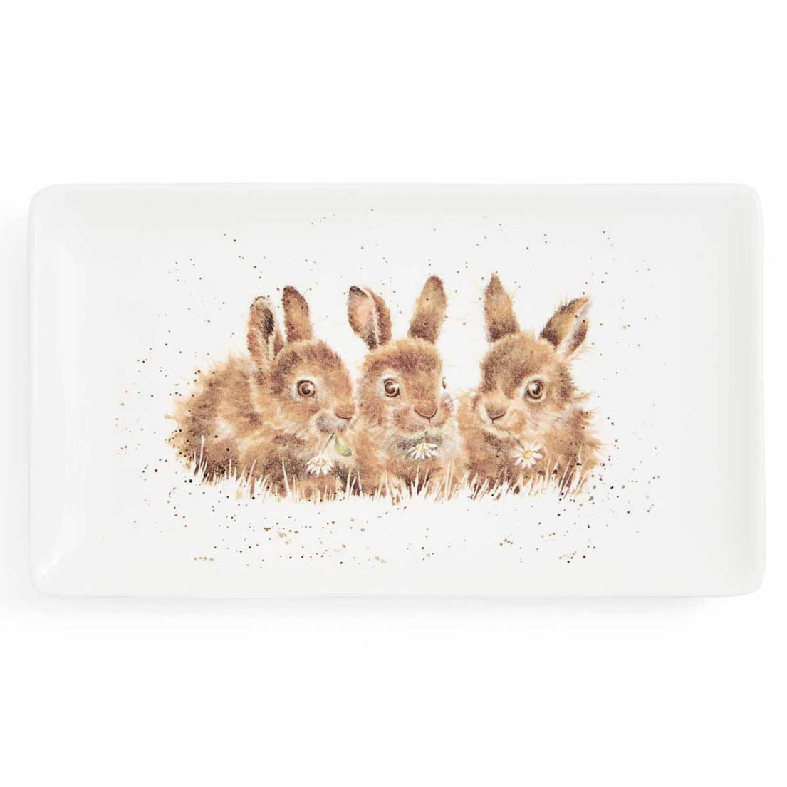 Royal Worcester Wrendale Designs Rectangular Tray