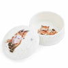 Royal Worcester Wrendale Designs Fox Lidded Box